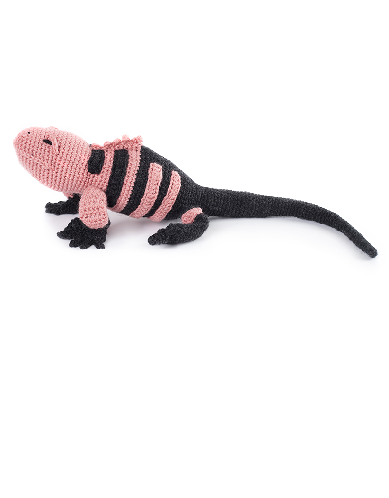 Fitzroy the Pink Land Iguana